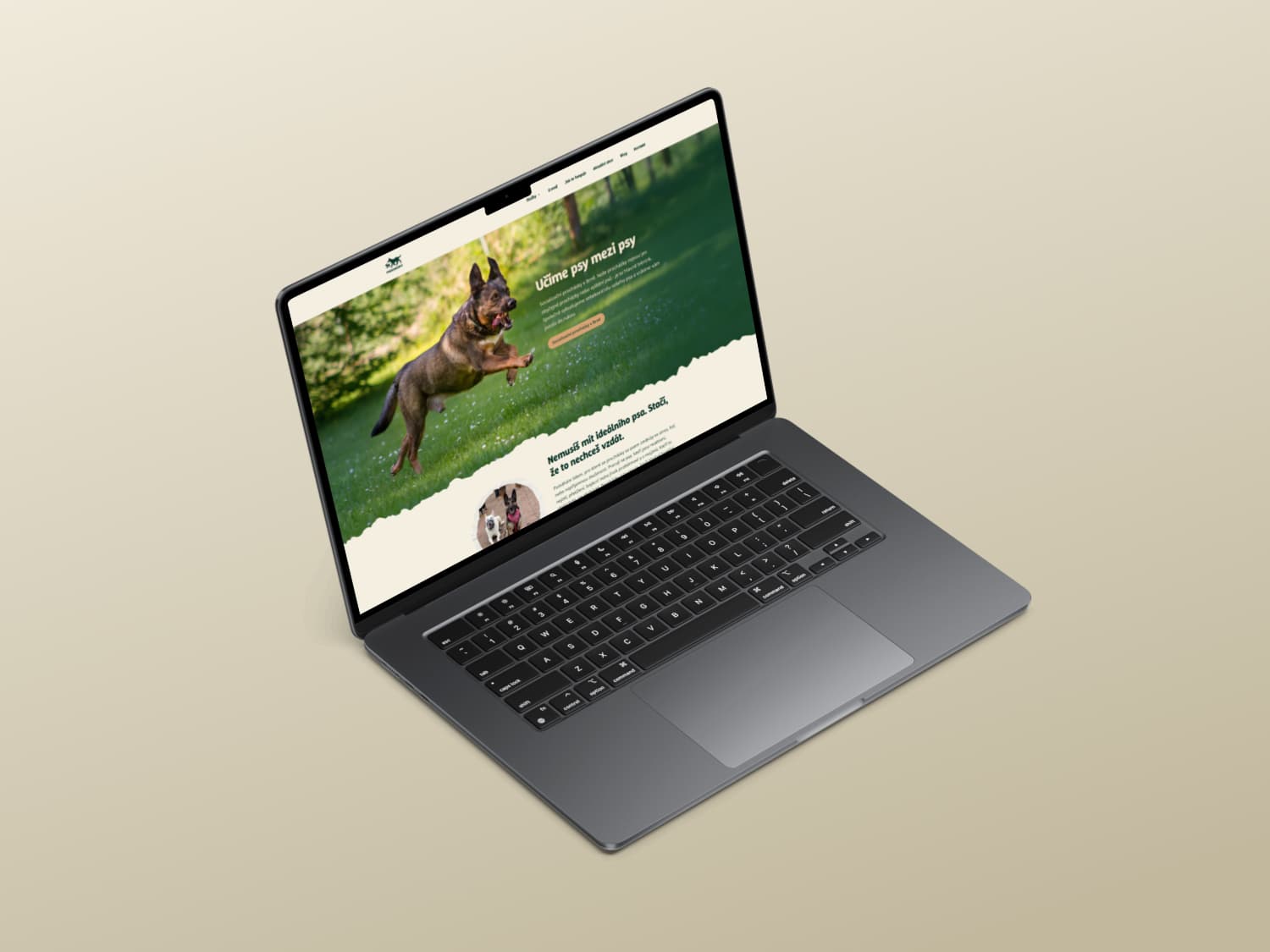 Psocházky - desktop náhled